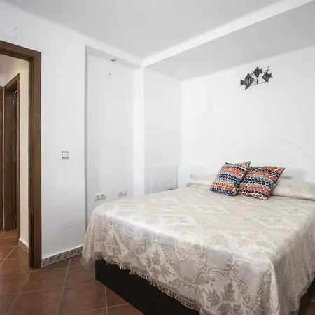 Cenuela Id29 *