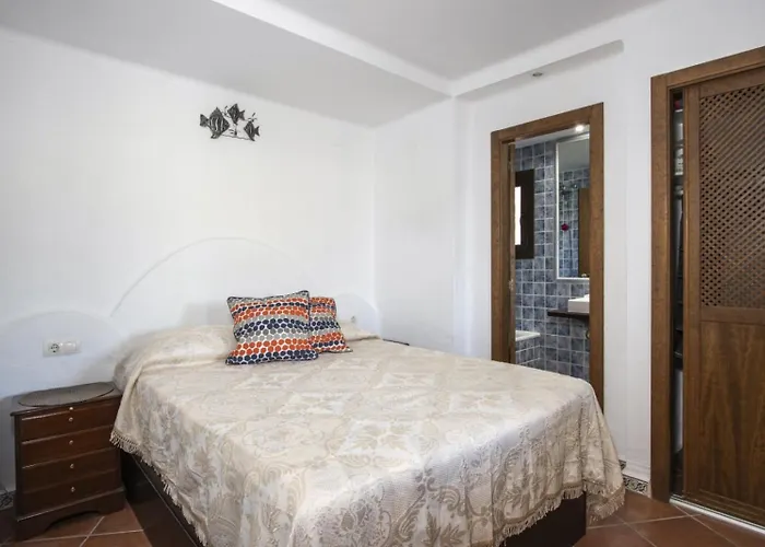 Cenuela Id29 托雷维耶哈